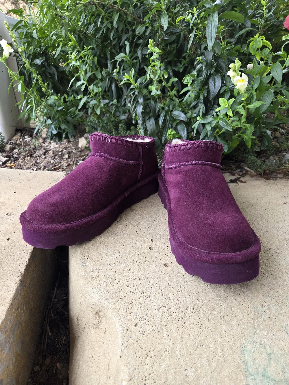 Bearpaw Lana Suede Ankle Bootie  Color:Eggplant Size:8  (NWOT)